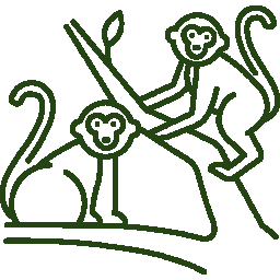 Small monkeys.