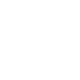 Small monkeys.
