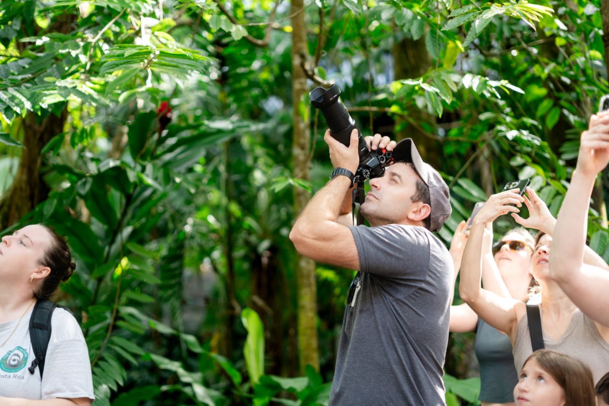 Man in a gray shirt raises a large camera to his eye, photographing upward while a group of people in a tropical garden look on and snap pictures.